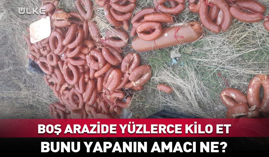 Boş arazide yüzlerce kilo et bulundu