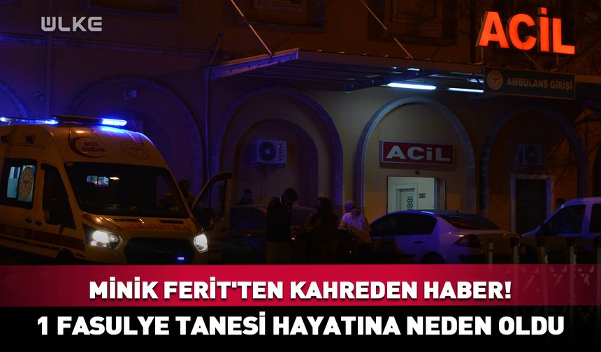 1 fasulye tanesi hayatına neden oldu