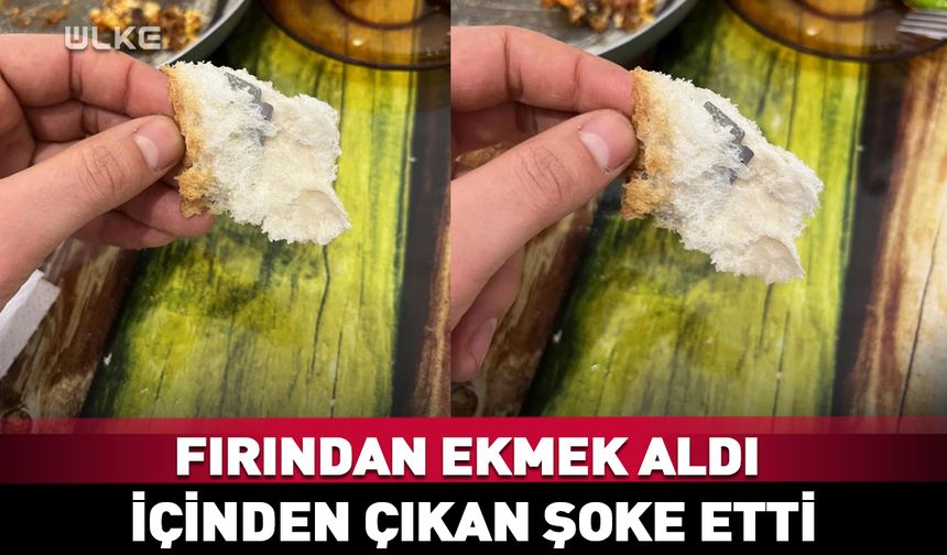 Fırından ekmek aldı içinden çıkan şoke etti