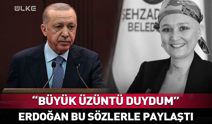 Erdoğan "büyük üzüntü duydum" diyerek paylaştı