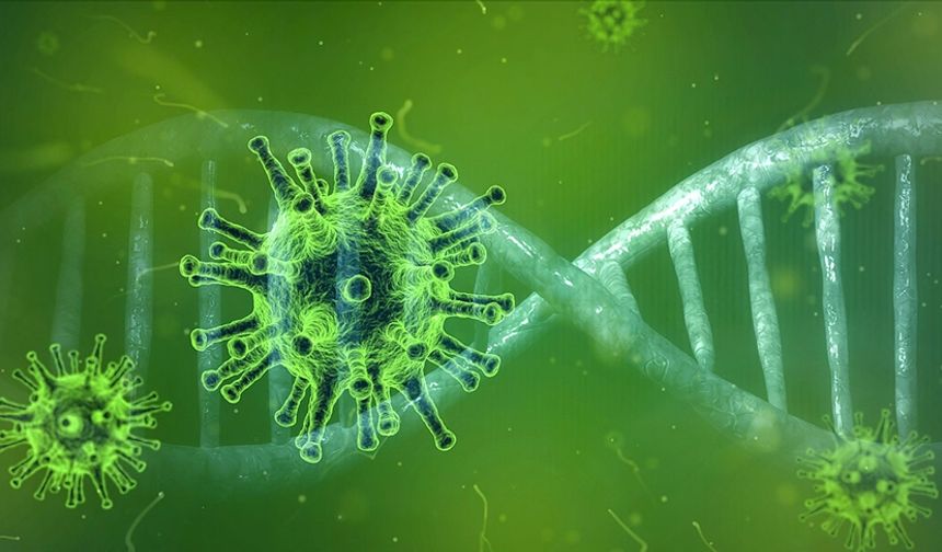 Türkiye’de virüs alarmı! Hayati risk oluşturuyor