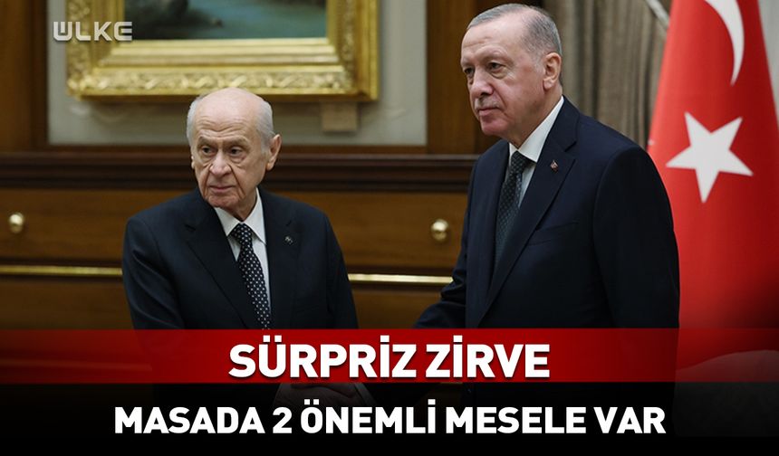 Erdoğan ile Bahçeli arasında kritik görüşme
