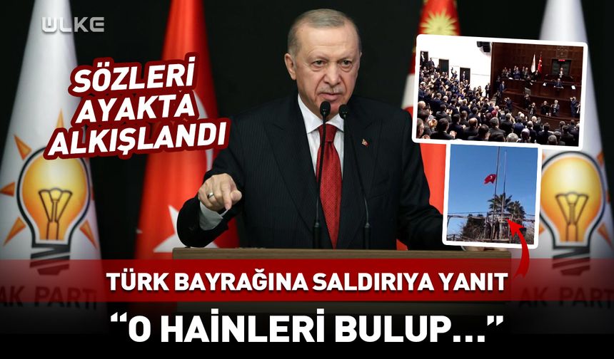 Türk bayrağına saldırıya Erdoğan'dan sert sözler