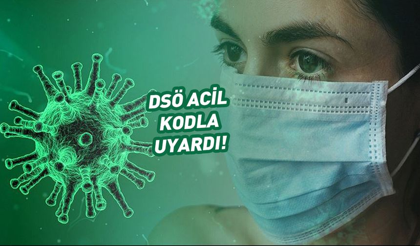 DSÖ acil kodla uyardı! Nipah virüsü yayılıyor