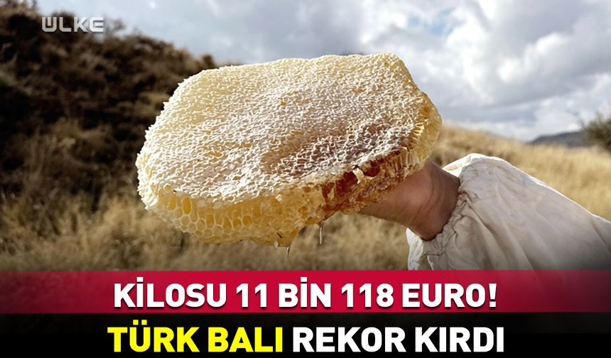 Kilosu 11 bin 118 euro! Türk balı rekor kırdı