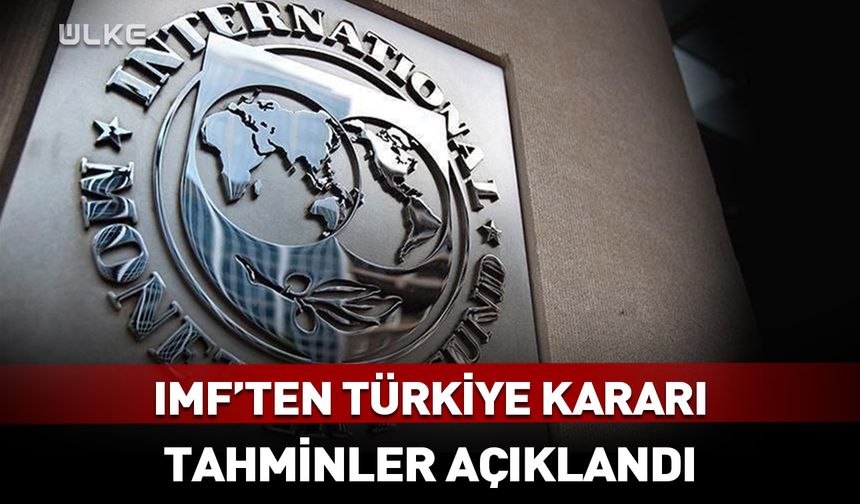 IMF'ten Türkiye kararı