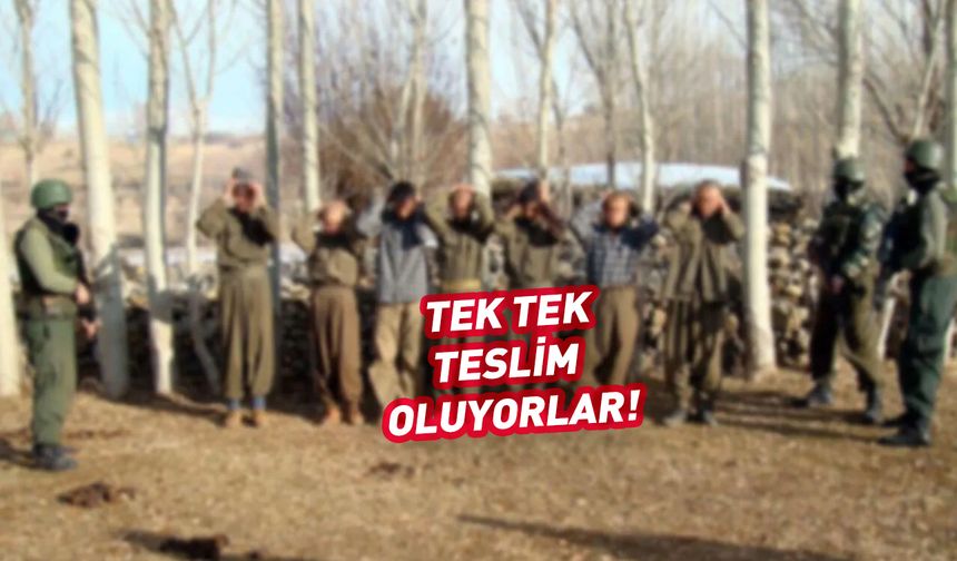Tek tek teslim oluyorlar! 1 haftada 9 PKK'lı...
