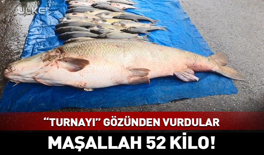 “Turnayı” gözünden vurdular