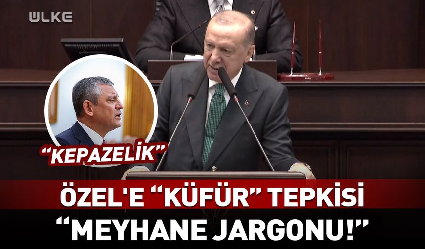 Erdoğan'dan Özgür Özel'e “küfür” tepkisi: Meyhane jargonu!