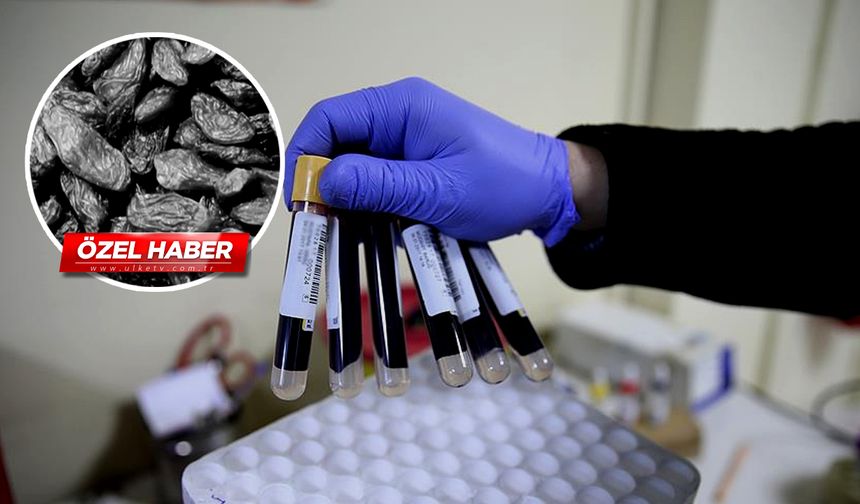 Kansızlığa birebir! Faydaları say say bitmiyor