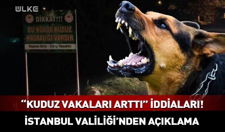 İstanbul'da "kuduz vakaları arttı" iddiaları! Valilikten açıklama