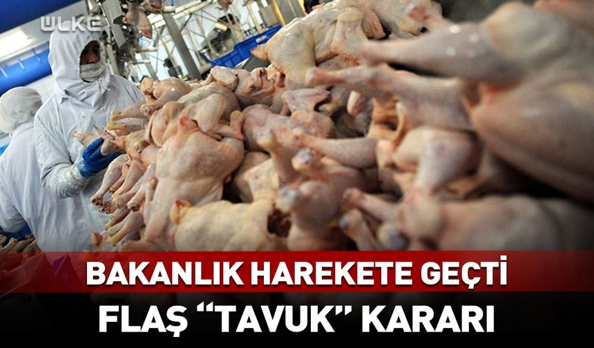 Ticaret Bakanlığı'ndan flaş "tavuk" kararı
