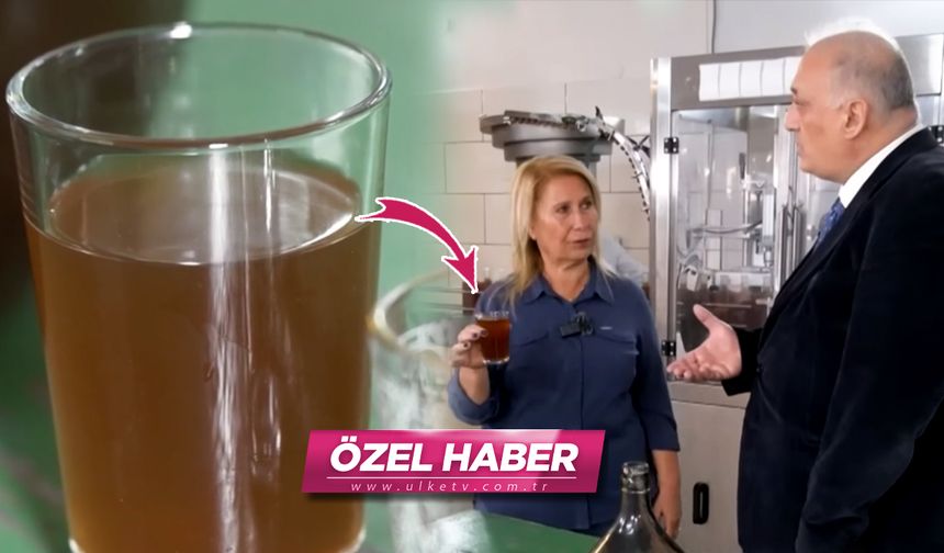 Dünyada bir ilk! Bu sirkenin faydalarını duyunca çok şaşıracaksınız