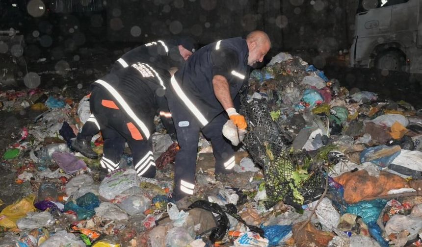 Çöpten servet çıktı! Dudak uçuklatan rakam