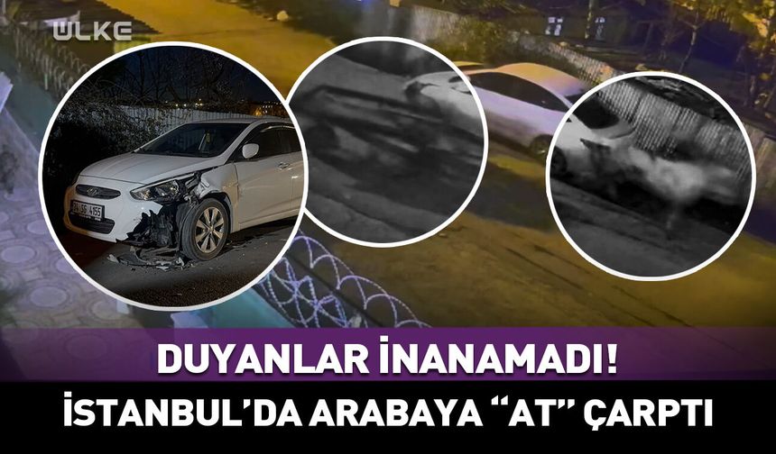 Duyanlar inanamadı! İstanbul'da arabaya "at" çarptı