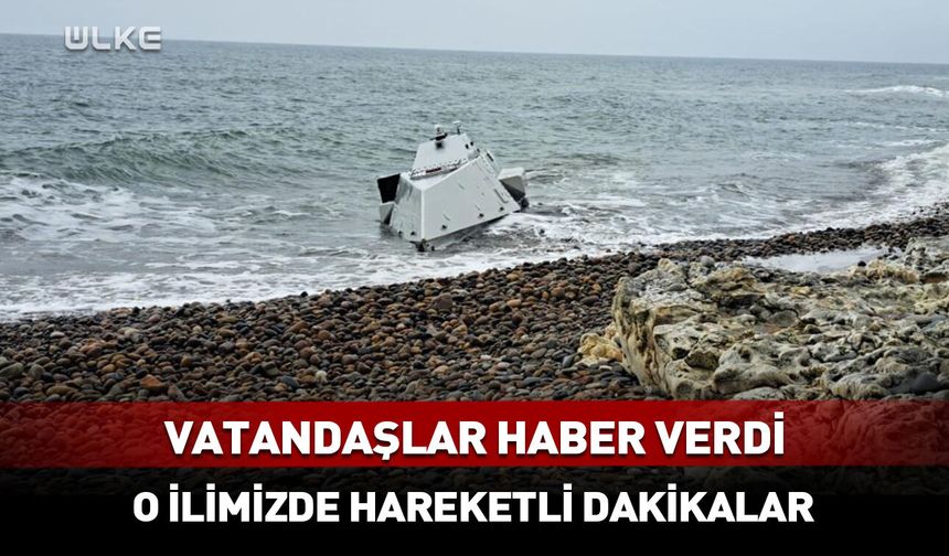 Ordu’da kıyıya İDA vurdu