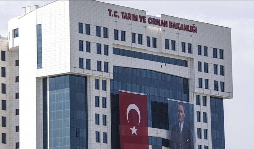 Binlerce personel alınacak! Bakanlık müjdeyi verdi