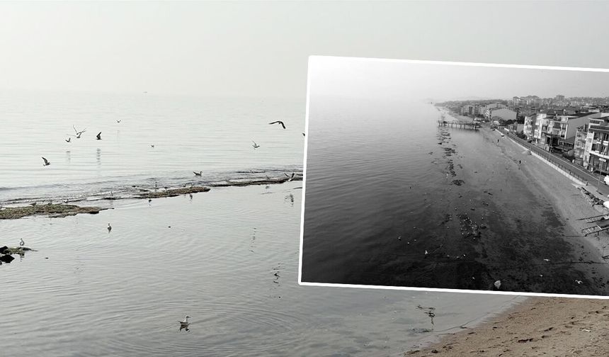 Marmara'da deniz 7 metre çekildi! 'Kral Yolu' ortaya çıktı