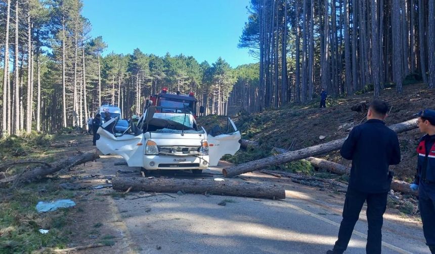 Bursa'da feci olay! Kesilen ağaç kamyonetin üzerine devrildi: Ölü ve yaralılar var