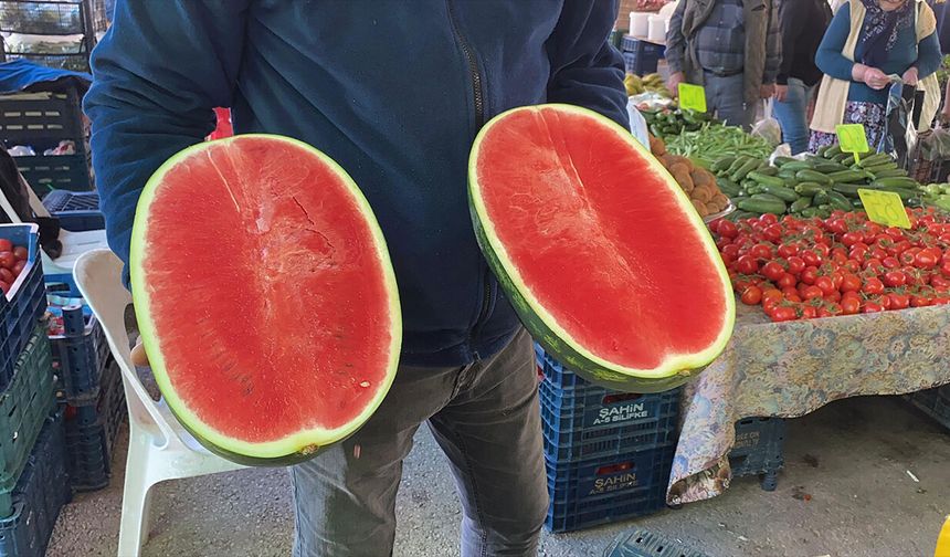 Karpuz sezonu başladı! Fiyatı dikkat çekti