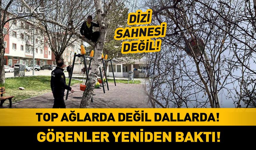 Top ağlarda değil dallarda! ☺️