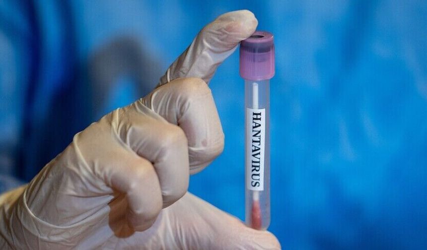 3 Türk vatandaşın Hantavirüs test sonucu belli oldu