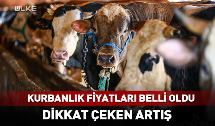 Kurbanlık fiyatları belli oldu! Dikkat çeken artış...