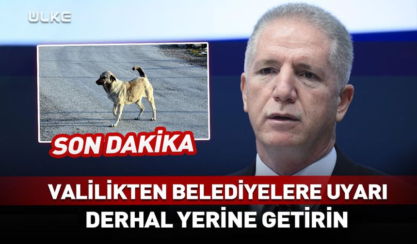 Valilikten belediyelere kritik uyarı! Derhal yerine getirin