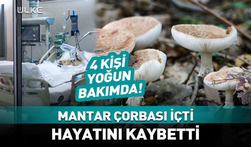 Yediği mantar sonu oldu!