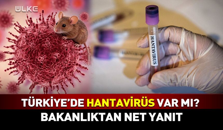 Türkiye'de hantavirüs vakası var mı? Sağlık Bakanlığı’ndan son dakika açıklaması!