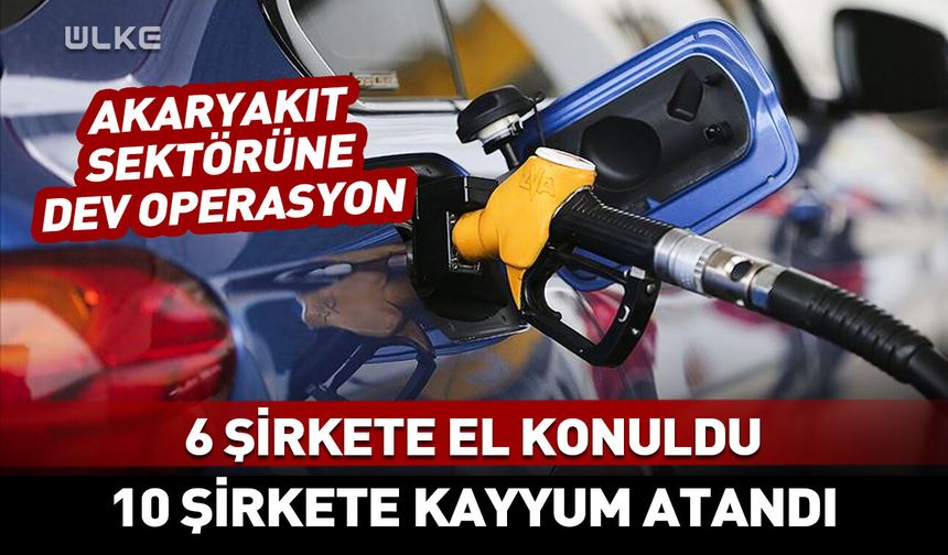 Dev operasyon! 6 şirkete el konuldu, 10 şirkete kayyum atandı
