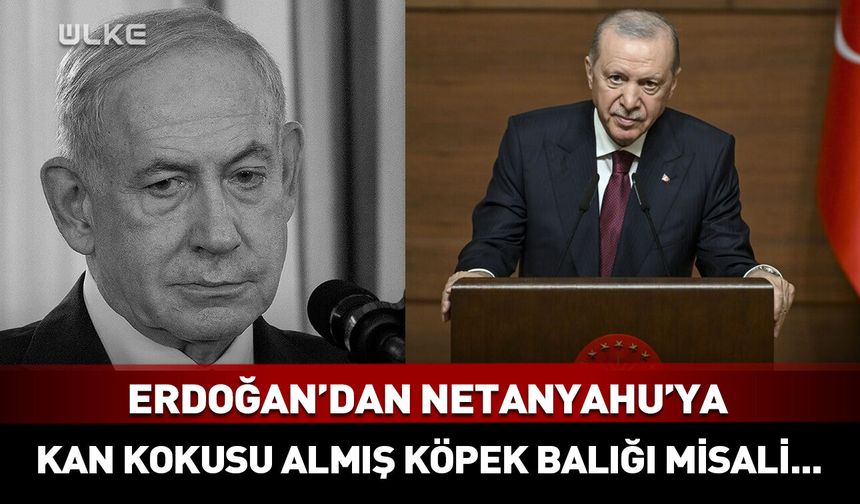 Erdoğan'dan Netanyahu'ya: Kan kokusu almış köpek balığı misali...
