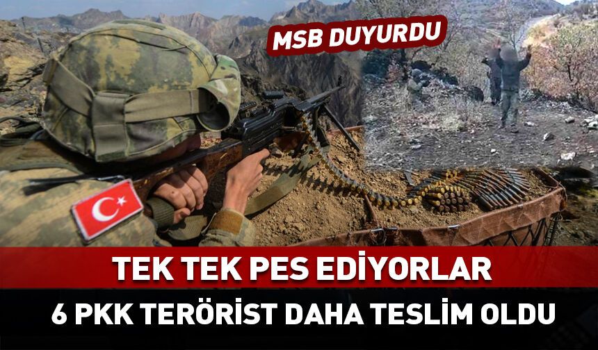 Tek tek teslim oluyorlar! MSB duyurdu