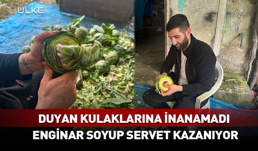 Duyan kulaklarına inanamadı: Enginar soyup servet kazanıyor