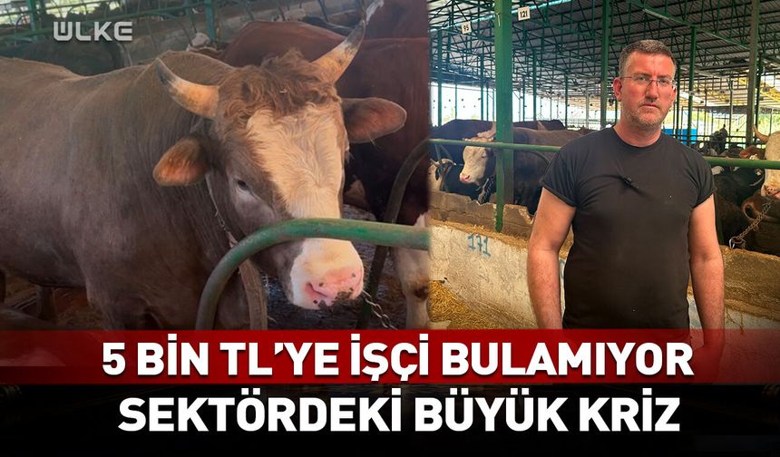 5 bin TL'ye işçi bulamıyor! Sektördeki büyük kriz...