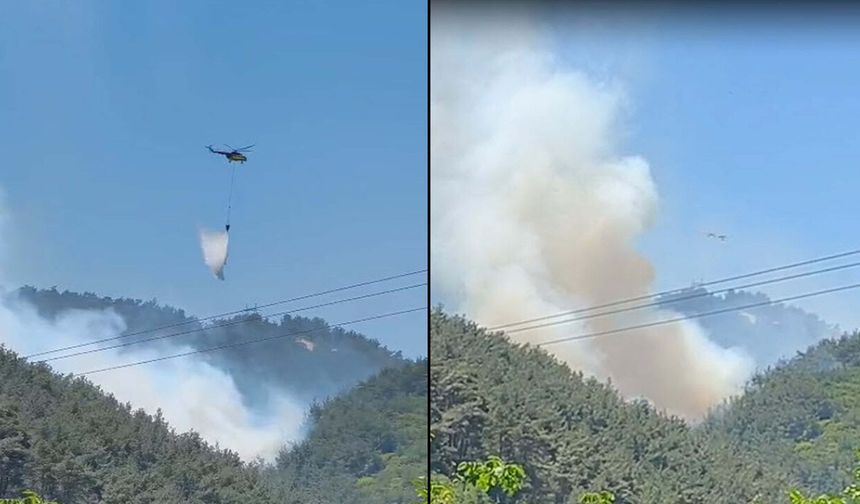Soma'da orman yangını!