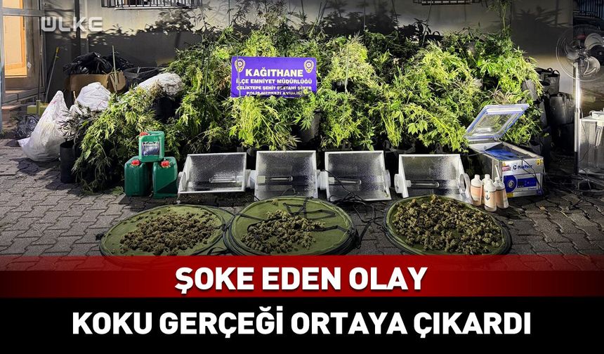 Yoğun koku gerçeği ortaya çıkardı