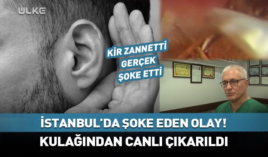 Kulağından canlı çıkarıldı