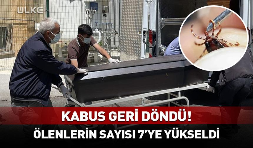 Kabus sürüyor: Kene yine can aldı