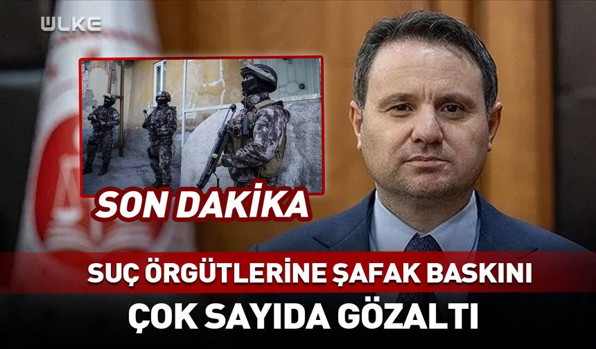 Suç örgütlerine şafak baskını! Çok sayıda gözaltı...