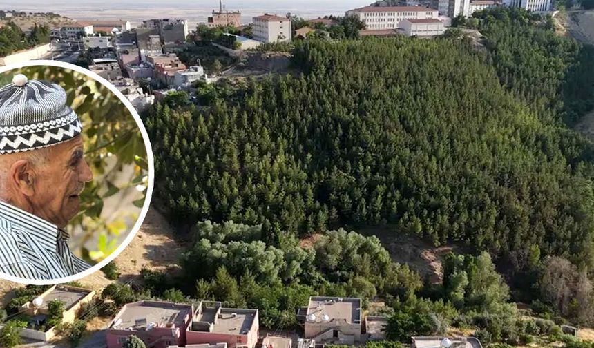 "Şehmus Dede Ormanı" Türkiye'ye örnek oldu
