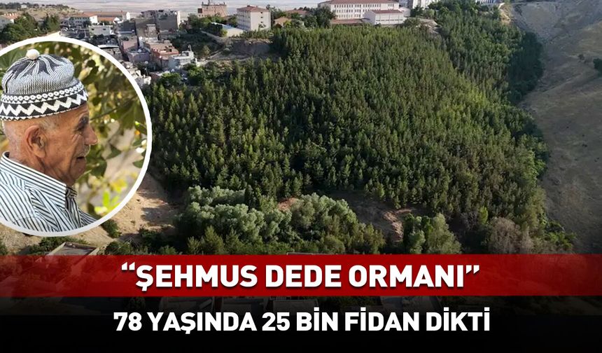 "Şehmus Dede Ormanı" Türkiye'ye örnek oldu