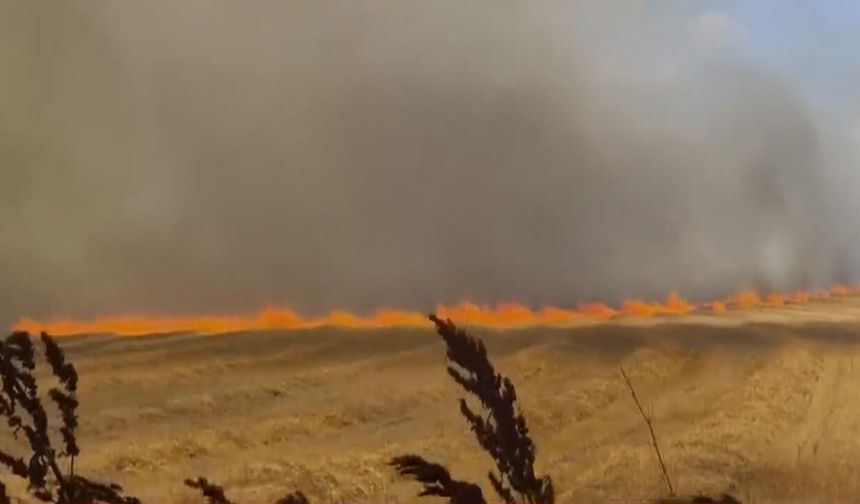 Silivri'de korkutan yangın! Valilikten açıklama geldi