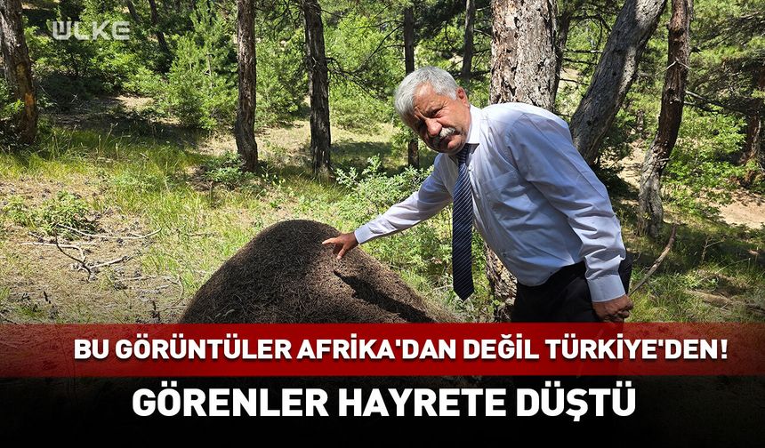 Bu görüntüler Afrika'dan değil Türkiye'den! Görenler hayrete düştü
