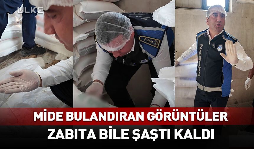 Mide bulandıran görüntüler! Zabıta bile şaştı kaldı