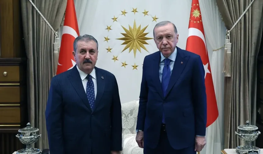 Cumhurbaşkanı Erdoğan, Destici'yi kabul etti