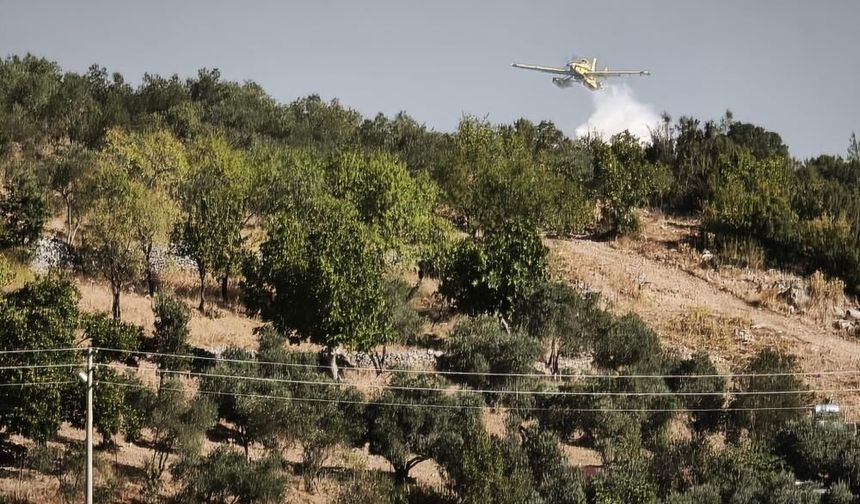 7 uçak 15 helikopter seferber oldu! Muğla'da orman yangını