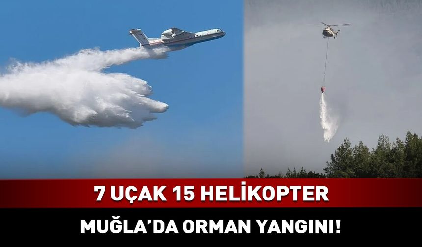 7 uçak 15 helikopter seferber oldu! Muğla'da orman yangını