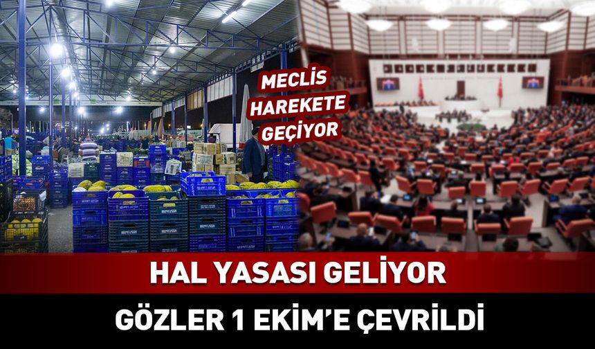 Yeni Hal Yasası için gözler 1 Ekim'de açılacak Meclis'e çevrildi