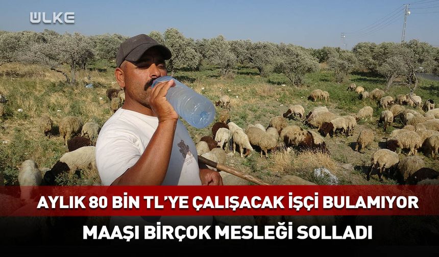 Aylık 80 bin TL'ye çalışacak işçi bulamıyor